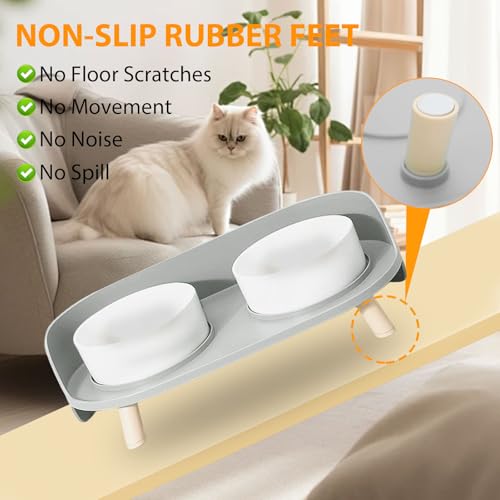 Elevated Dog Bowls Set (Gray)