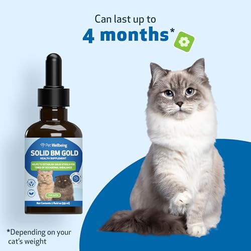 Solid BM Gold for Cats
