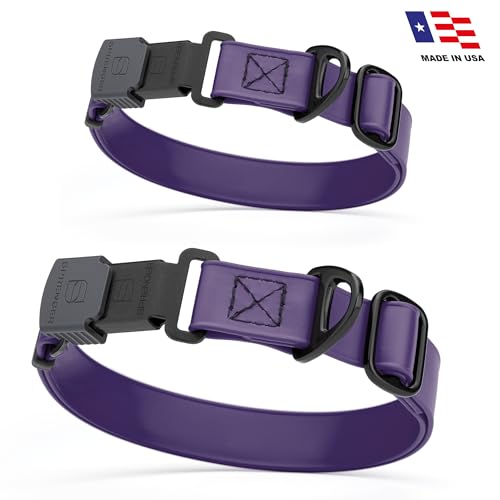 Biothane Waterproof Dog Collar with Herm Sprenger Black Stainless Steel Quick Release Buckle (W 3/4" x L 12"-19" / Violet Purple)