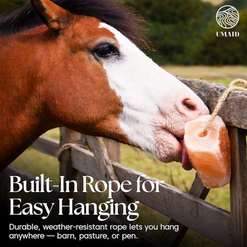 Himalayan Salt Lick 3 lbs On Rope for Horse (3 Pound (Pack of 6))