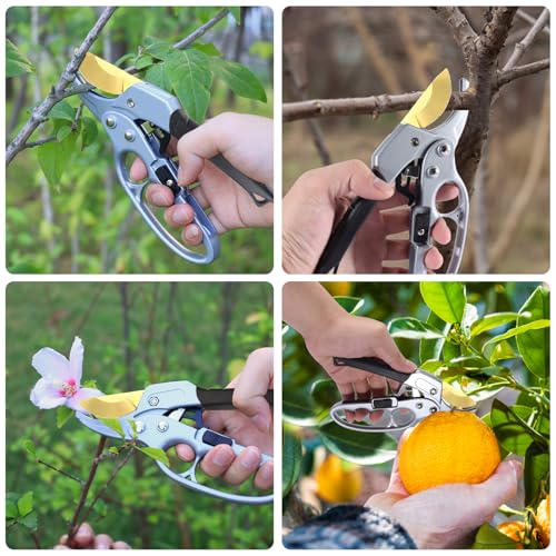 Titanium pruning shears (Titanium Pruners)