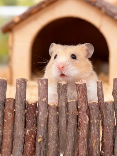 2 Pcs 11.8in Wooden Hamster Fence (11.8in (Natural))