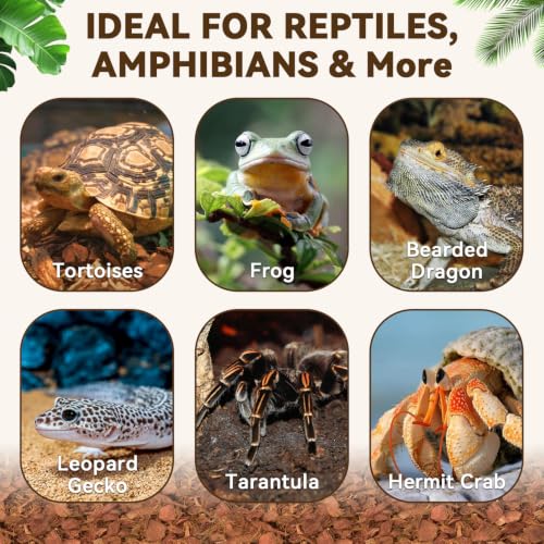 Coconut Husk Chip Substrate for Reptiles (2 Pack)