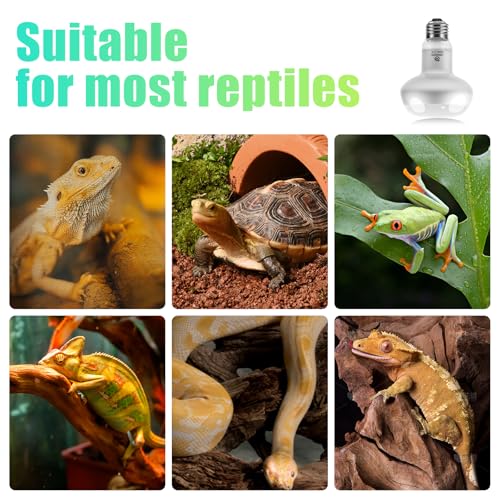 Reptile Heat Lamp 2Pack 75W (Intense Light / 2*75)