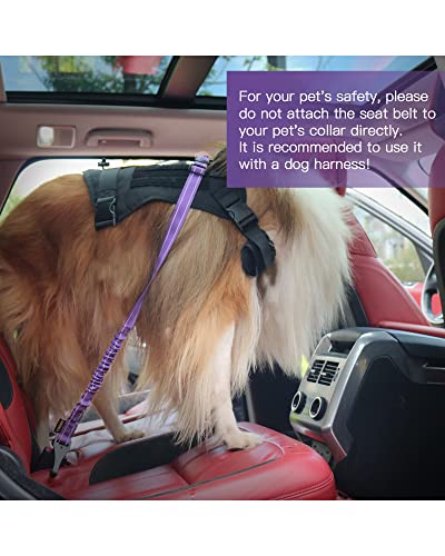 Dog Seat Belt for Car (Purple)