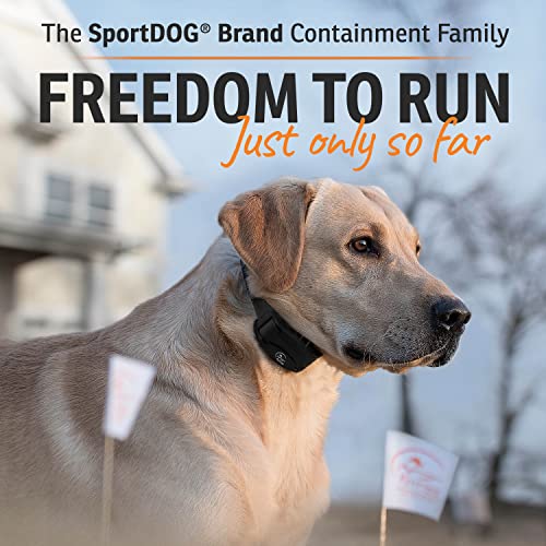 Brand Rechargeable In (2 Dog System)