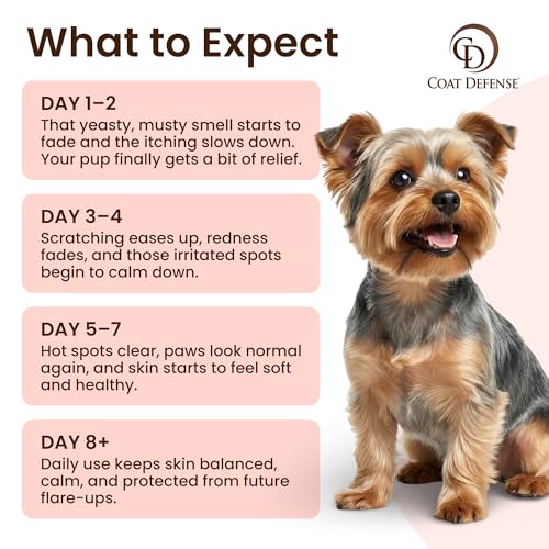 Paw Licker Bundle