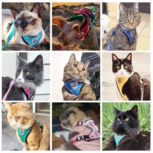 Cat Harness and Leash Set Escape Proof Reflective Cat Walking Harness Adjustable Soft Breathable Mesh Vest for Small Pets (S (NECK 9.5"-11", CHEST 13"-16") / Pink Flowers)