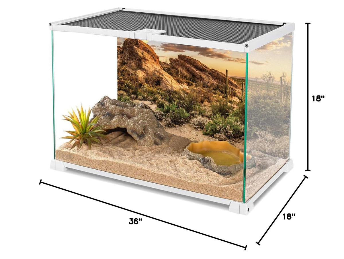 36x18 in Desert Reptile Habitat Backdrop Oasis Cactus Terrarium Background (36x18 inches)