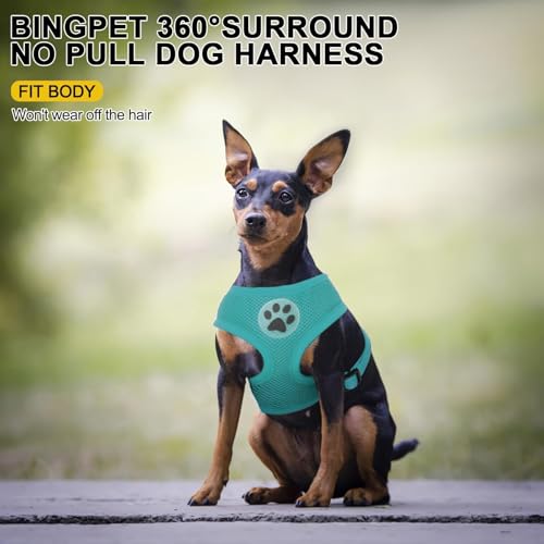 Small Dog Harness (S (NECK: 12", CHEST: 14"-18") / Aqua)