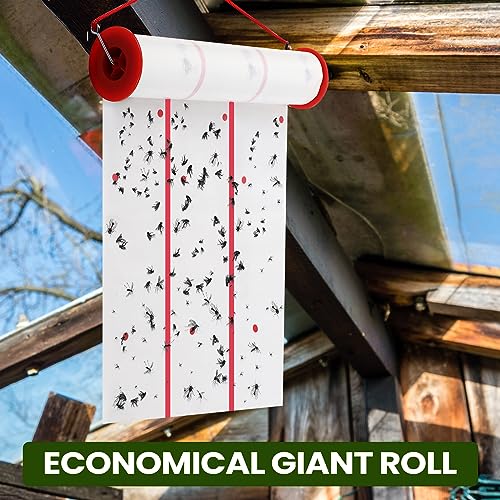 10 Pcs Giant Flypaper Fly Traps (White)
