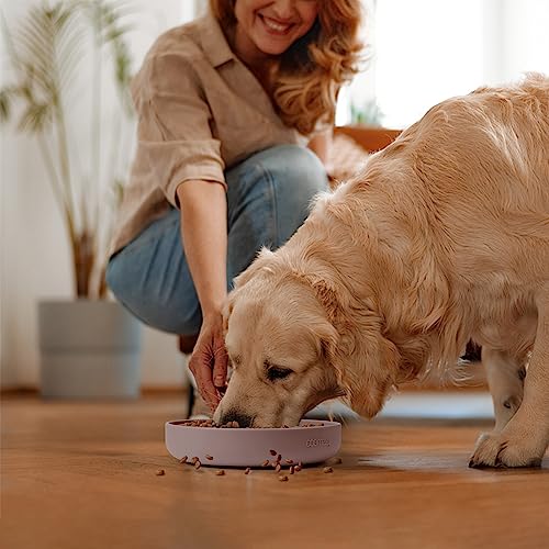 Slow Feeder Dog Bowls (Pink / 2.5 Cups)