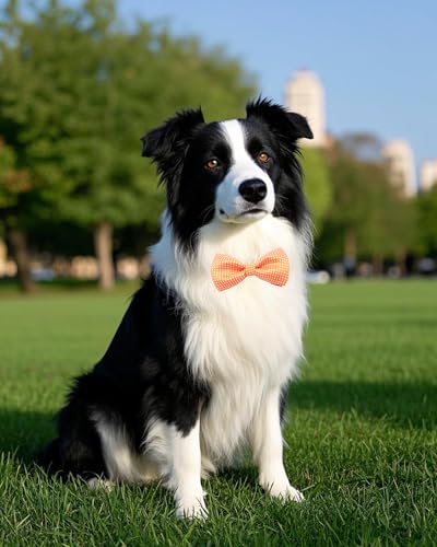 8 Pack Dot Dog Bowties for Large Dogs Slide on Collar (M/L)