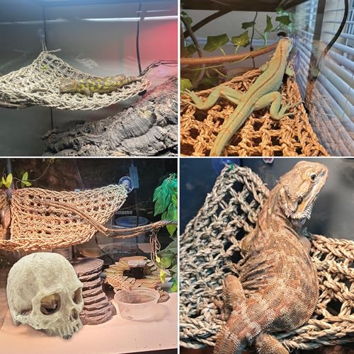 Reptile Habitat Skull Decoration Bearded Dragon Tank Accessories Resin Human Skulls Hide Cave Hanging Vines Plant for Lizards Tortoise Snake Chameleon Spider Reptiles Amphibians