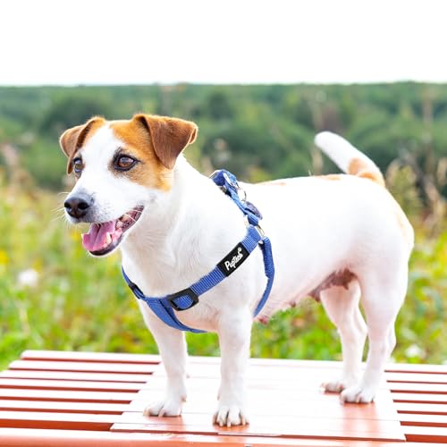 No Pull Dog Harness Small Sized Step (Navy Blue(Reflective) / Small)