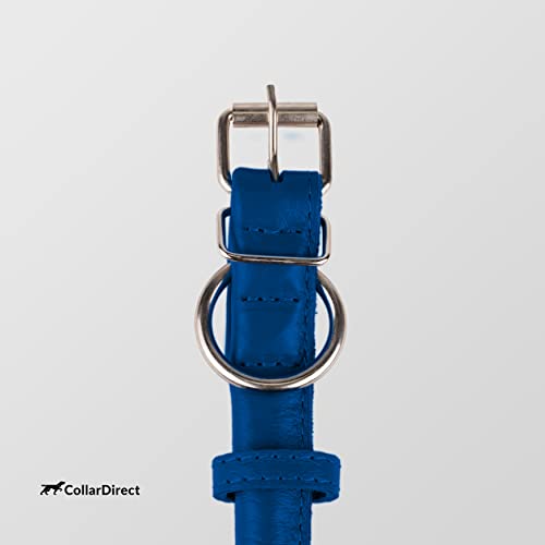 Tangle Free Rolled Leather Dog Collar (Deep Blue / L)