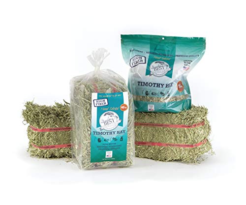 Timothy Hay Bale (2.5 Pound (Pack of 1))