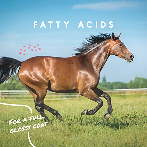 Cool Calories 100 Horse Supplement