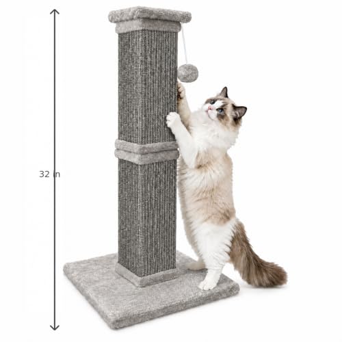 Vertical Cat Scratching Post for Indoor Cats (All Grey)