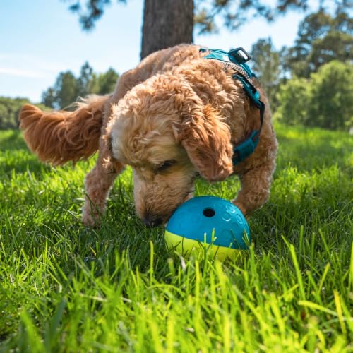 Nina Ottosson Treat Tumble Dog Toy Puzzle Ball (Blue / 1 Count (Pack of 1))