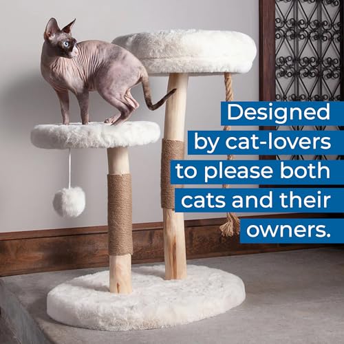 The Oasis Cat Tree (The Oasis)
