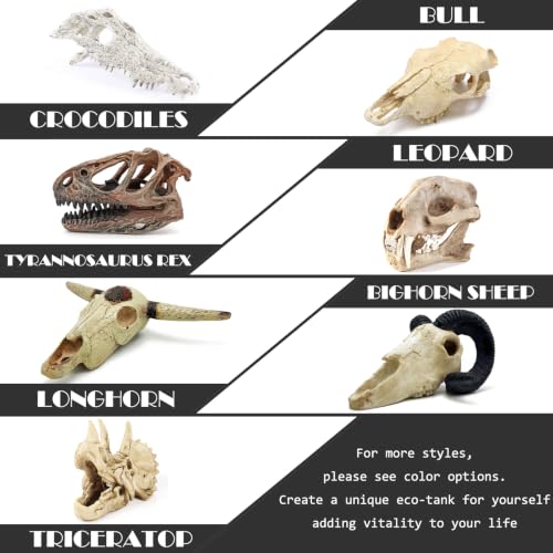 Bull Skull Décor Fish Aquarium Tank Hideout Decorations Fish Tank Decor Skull Betta Animal Large Reptile Bones Snake for Terrarium Ornament (Buffalo-small)