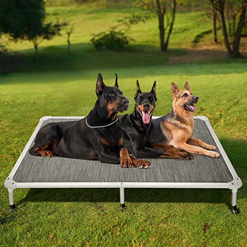 Chew Proof Elevated Dog Bed (Black Silver / 59.0"L x 37.5"W x 9.0"Th)