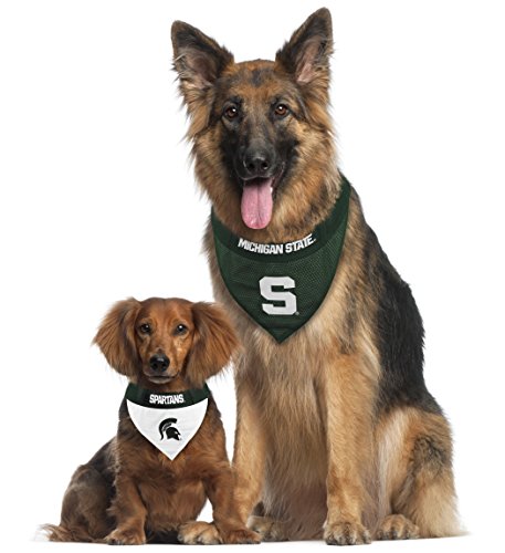 Collegiate Pet Accessories (Small/Medium / Michigan State Spartans)