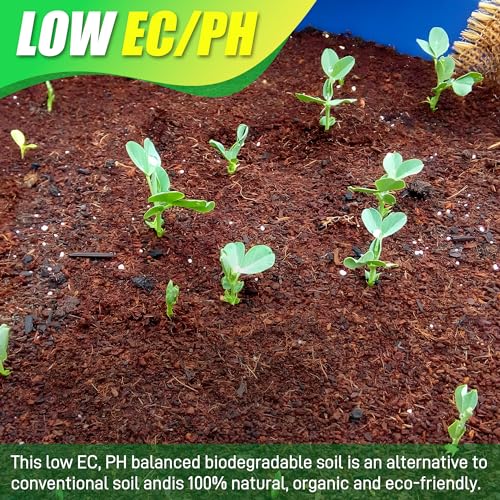 Coco Coir Brick for Plants (6pcs)