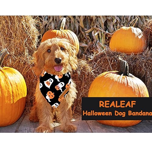 Halloween Dog Bandanas 2 Pack (Halloween 1 / X-Large)