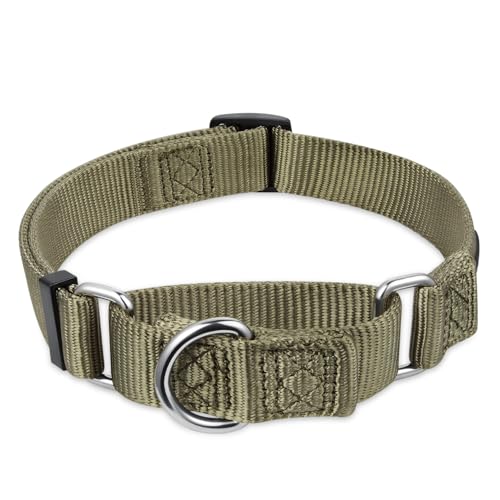 Martingale Dog Collar Medium Green (Medium / Military Green)