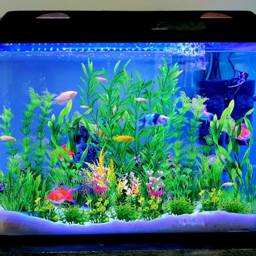 Fish Tank Plants