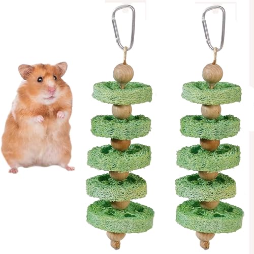 Bunny Chew Toys 2 Pack Natural Loofah Hanging Toy with Fruit Flavor for Rabbits Guinea Pigs Hamsters Small Animal Teeth Grinding and Cage Enrichment Rabbit Chew Toys (Orange Flavor)