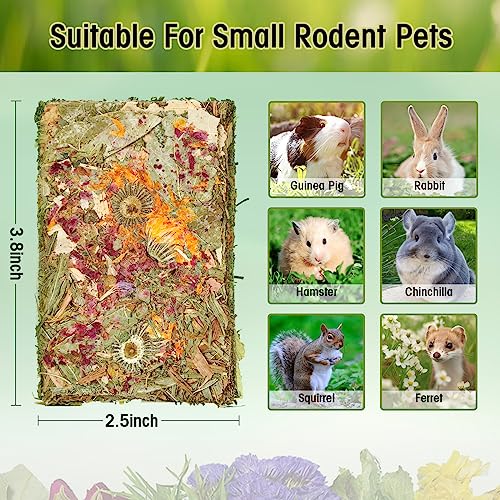 Rabbit Natural Treats (0.3 Ounce (Pack of 10))