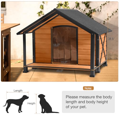 Dog House Outdoor & Indoor