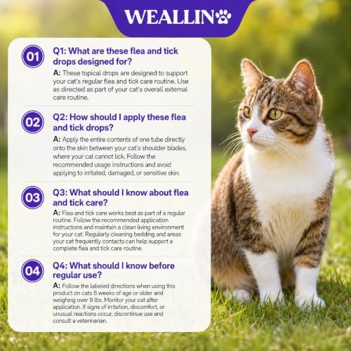 Flea and Tick Prevention for Large Cat