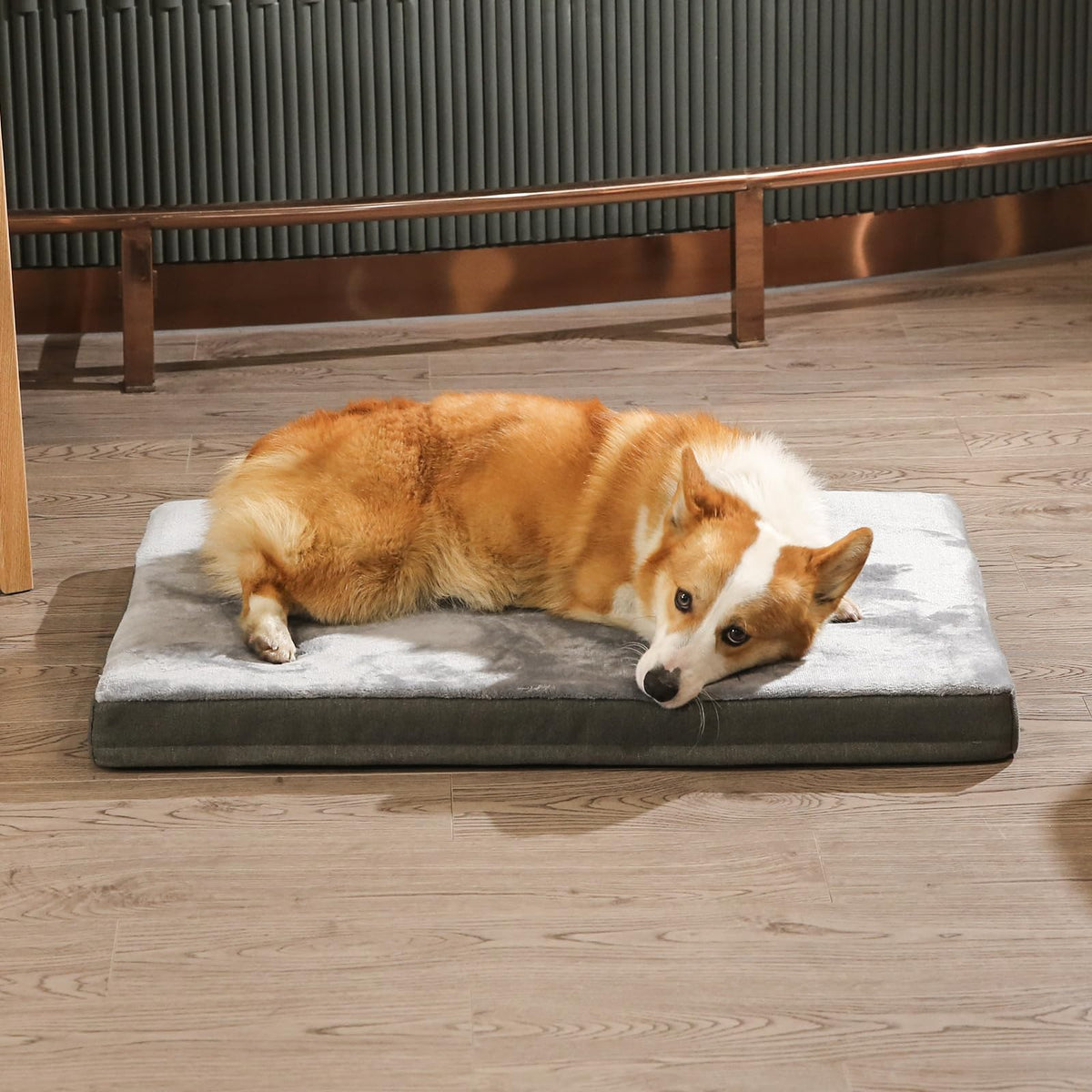Washable Dog Bed with Cooling Gel Memory Foam (Mattress Bed / Giant / Grey)