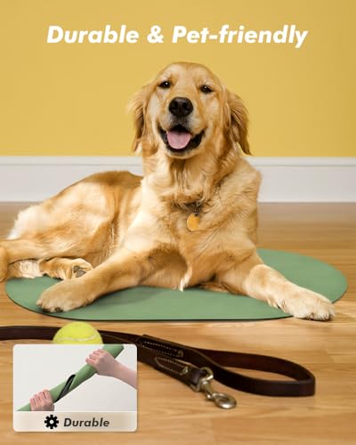 Absorbent Dog Food Mat (Green / 14"x22")