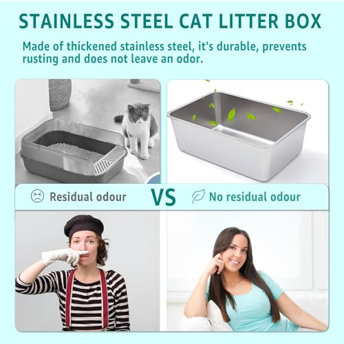 Stainless Steel Litter Box for Kitten (1pack-M-4" H)