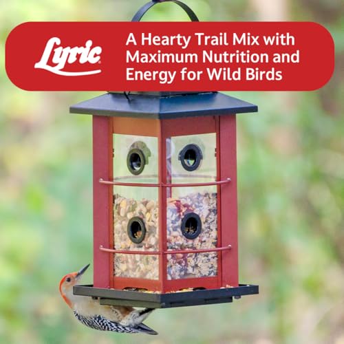 Fruit and Nut Wild Bird Seed Mix (1 Count (Pack of 2))