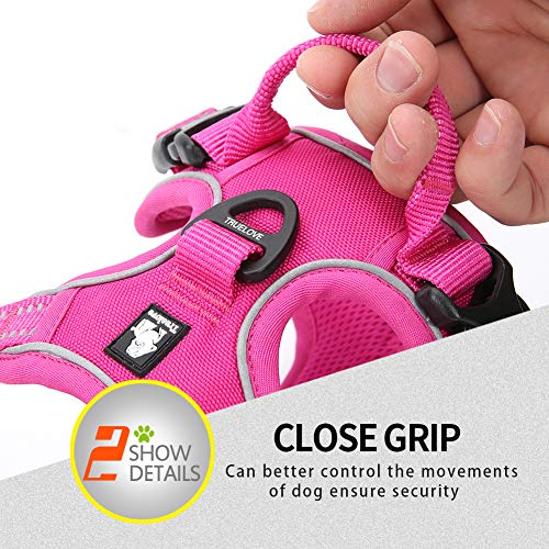 Truelove No Pull Dog Harness with Easy Control Handle and 2 Leash Attachments (Medium / Fuchsia)