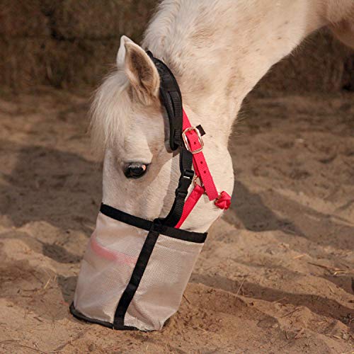 Horse Feed Bag (Full / Black)