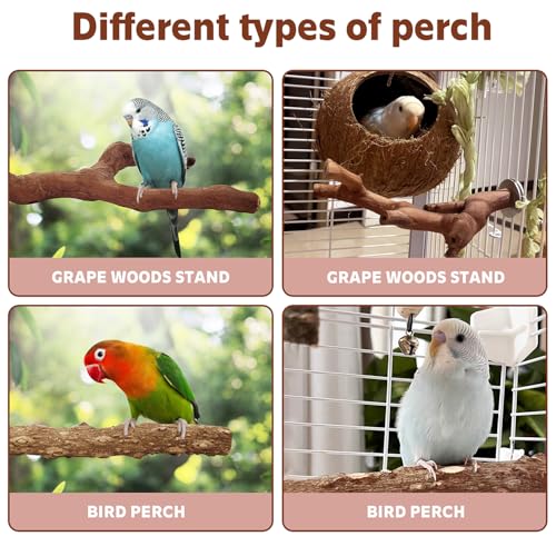 4PCS Bird Perch Natural Wooden Parrot Stand