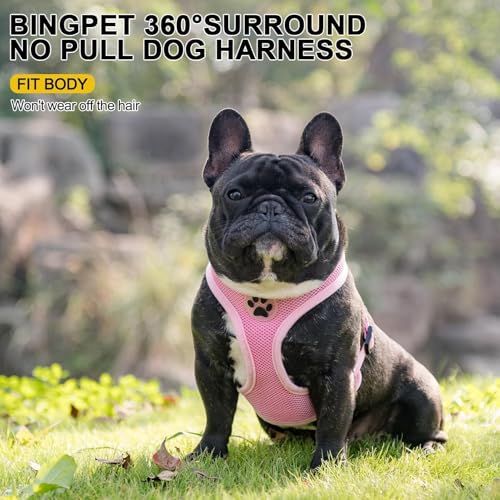 Small Dog Harness (XL (NECK: 20.5", CHEST: 20.5"-27") / Pink)