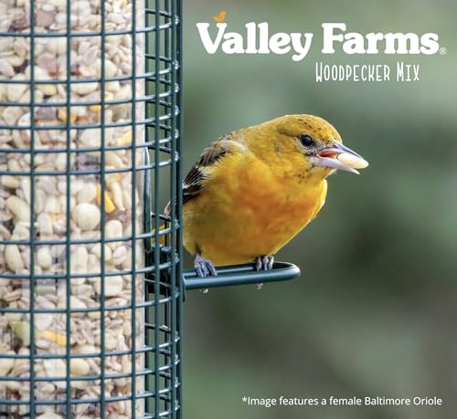 Woodpecker Mix (15 Pound (Pack of 1))