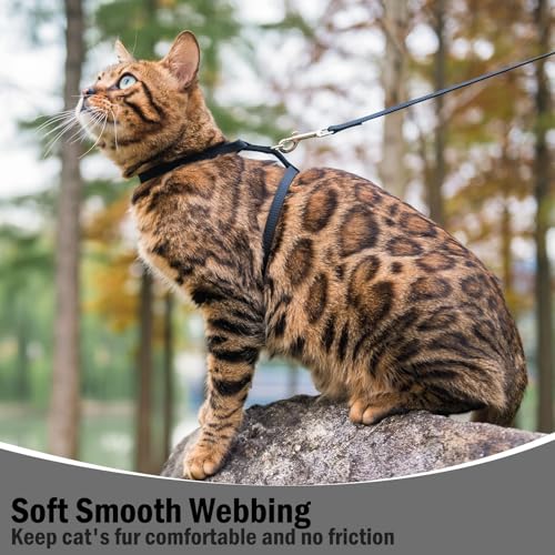 Adjustable Cat Harness and Leash Set Escape Proof Kitten Strap Collar for Walking Travel (Small / Black)