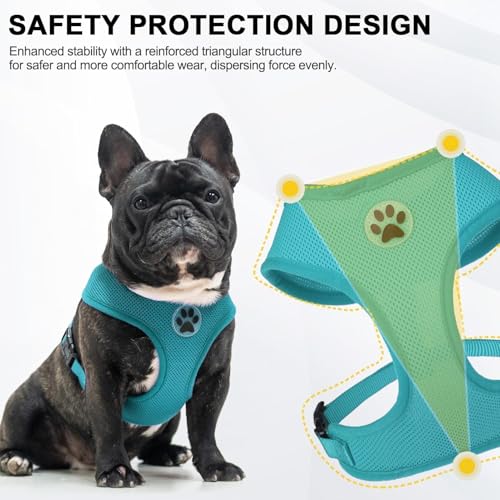 Small Dog Harness (M (NECK: 14", CHEST: 17"-21") / Aqua)
