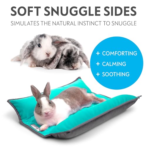 Snuggle Bunny Bolster Bed (Gray/Green)