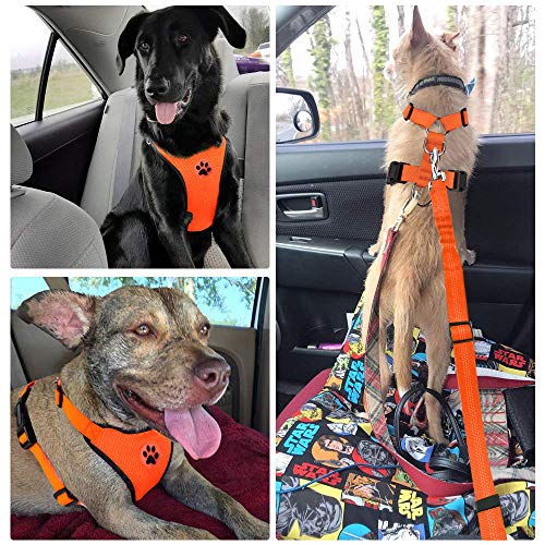 Dog Car Harness Seat Belt (Large / ·Orange)