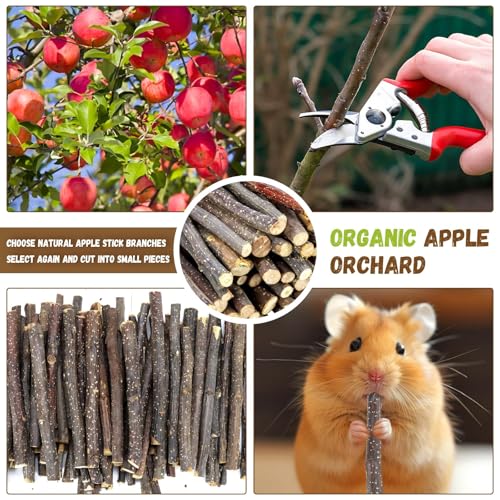 2lb Small Apple Sticks for Small Animals (900g)